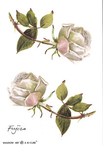 Vh[vgAEBECUBEyւ̃oz C125 [/z։