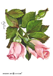 Vh[vgAEBECUBEyXC[g[Yz C129 [/z։