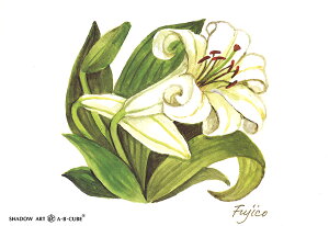 Vh[vgAEBECUBEyz C139 [/z։