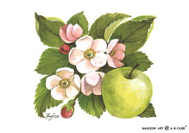 シャドープリントA・B・CUBE【りんごの花】 C144-1 メール便/宅配便可