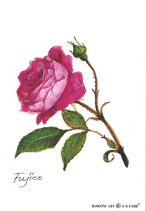 Vh[vgAEBECUBEyȂF̂΂z C156 [/z։