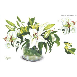 Vh[vgAEBCUBE S[JTuJƃCG[EB [/z։ c179