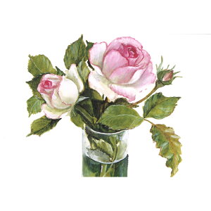 Vh[vgAEBCUBE ΂̎l2 [/z։ c181