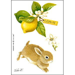 Vh[vgAEBECUBEyƂz C403 [/z։