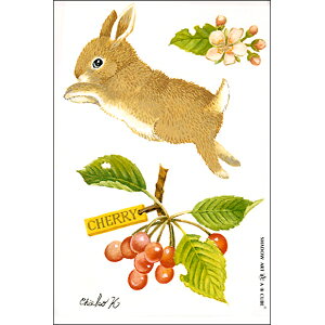 Vh[vgAEBECUBEy`F[Ƃz C404 [/z։