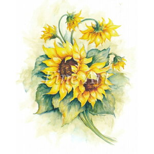 Vh[vg Ђ܂ [/z։ fa18-002