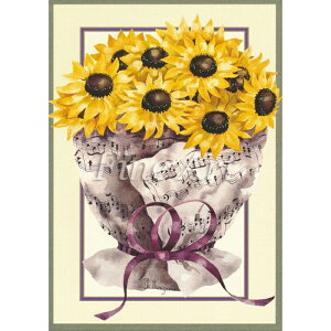 Vh[vg Ђ܂̉ԑ [/z։ fa19-005