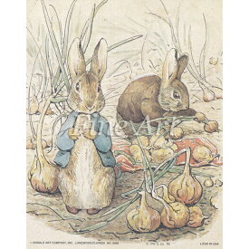 シャドープリント「いっぱいとれたね！」4×5インチ メール便/宅配便可 fa20-006