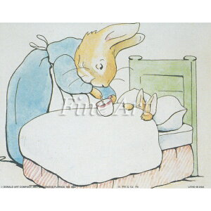 Vh[vgu͂AIv4×5C` [/z։ fa20-009