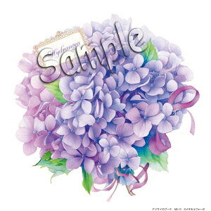 Vh[vg AWTC̃u[P [/z։