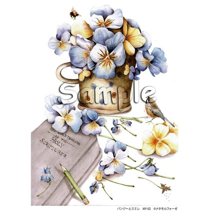 楽天市場 シャドーボックス 水彩シリーズ パンジーとスミレ My 02 メール便 宅配便可 手芸用品のabcクラフト 楽天市場 シャドーボックス 水彩シリーズ パンジーとスミレ My 02 メール便 宅配便可 手芸用品のabcクラフト