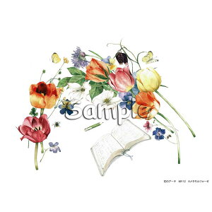 Vh[vg uԂ̃A[`v MY-12 [/z։