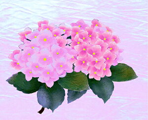 X^WIFeelfUC̗̃eLXgV[g uAWTCisNjv S-010 [/z։