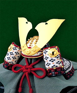 X^WIFeelfUC̗̃eLXgV[g uv S-038 [/z։