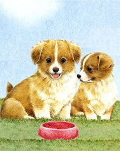 X^WIFeelfUC̗̃eLXgV[g u܂ȁHv S-045 [/z։