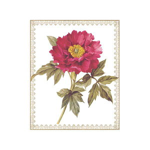 X^WIFeelfUC̗̃eLXgV[g uVNNv S-101 [/z։