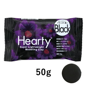 PADICO yʔSy n[eBJ[ ubN @301255