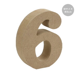 ؐ IuWF ؂蕶 6  MTCY 9cm agf-006