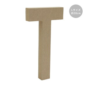 ؐ IuWF ؂蕶 T At@xbg LTCY 20cm agf-06t