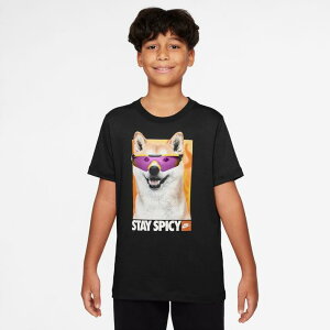 �L�b�Y �yNIKE�z �i�C�L K TEE PHOTO SHIBA �V���[�g�X���[�u HV5206