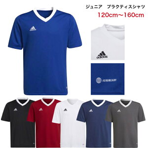 y؁z adidas AfB_X TVc WjA tbg{[EFA TbJ[  MBE20 z jp LbY hC X|[cEFA EFA A_[EFA X|[c g[jO