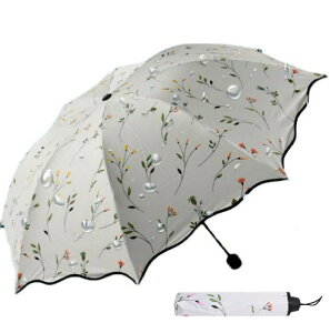 P fB[X ܂肽 y v 8{ RpNg Jo[ P[X t Jt [|[`t JpLamore uvJbg OՕ99% xNCz ϕ ܂ݎP 8{ p 