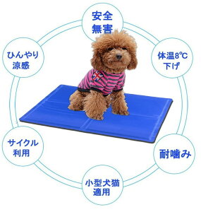 GRN[[ ybg}bg N[[}bg Ђ}bg  Lp}bg N[}bg ybgp}bg ⊴}bg  MǁE΍ (50cm×65cm)E^p N[O}bg M΍