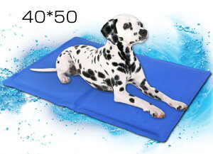 ybg}bg ybgpėpxbh}bg N[}bg p}bg ⊴}bg L   MǁE΍ ₦}bg N[}bg ybgp}bg ⊴}bg  MǁE