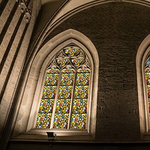 y\邾 XehOXzCottonColors 3DptB ډBV[g xł\蒼 KXtB OJbg ̂Ȃ 90x200cm vCoV[KXtB DIY XehOX 