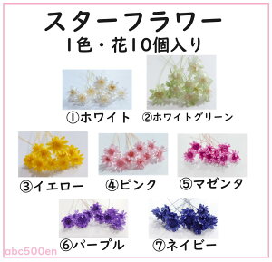 yX^[t[ 1FE10z@hCt[/vU[uht[//X^[t[//W