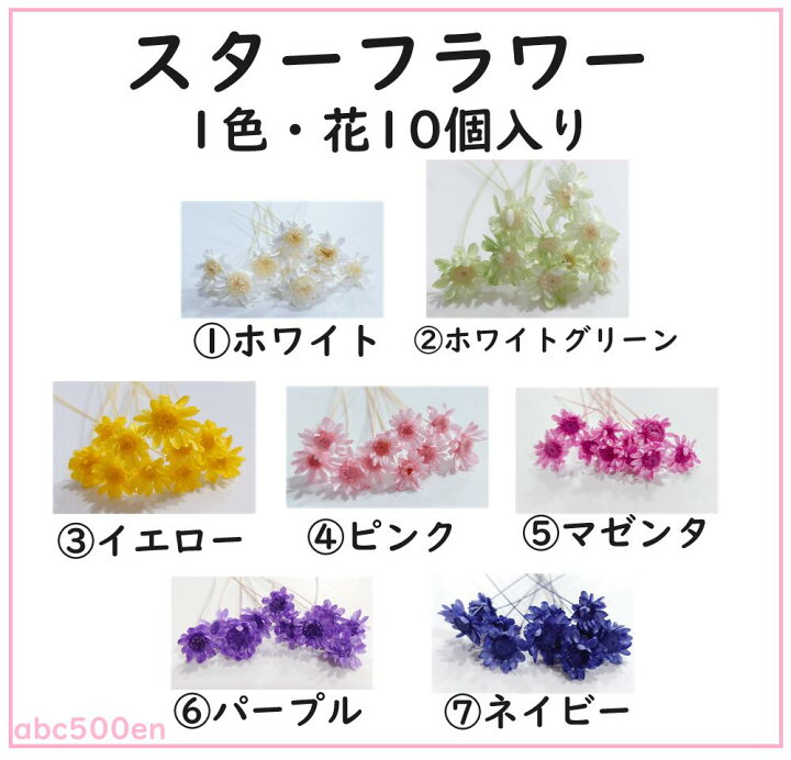 限定スターフラワー レジンチャーム 20mm