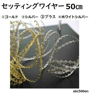 ZbeBOC[@50cm@/t[/S[h/Vo[/Ô/fUCC[