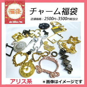 \񏤕iy2026Nabc500en܁zp[c܁@uAXnv/~[M/t[/`[/p[c/W