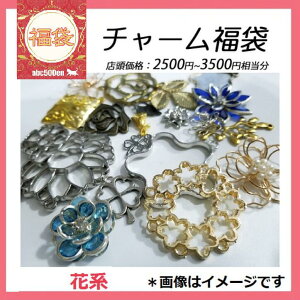 \񏤕iy2026Nabc500en܁zuԌnvp[c܁@/`[/t[/~[M/p[c/W