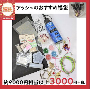 \񏤕iy2026Nabc500en܁zAbV̂ߕ 3000~@/W//[h/p[c/f/