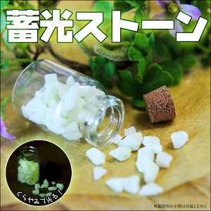 y~Xg[Et[NzUVWNtg|ANZT[|nhCh||pi|DIY|CeA||