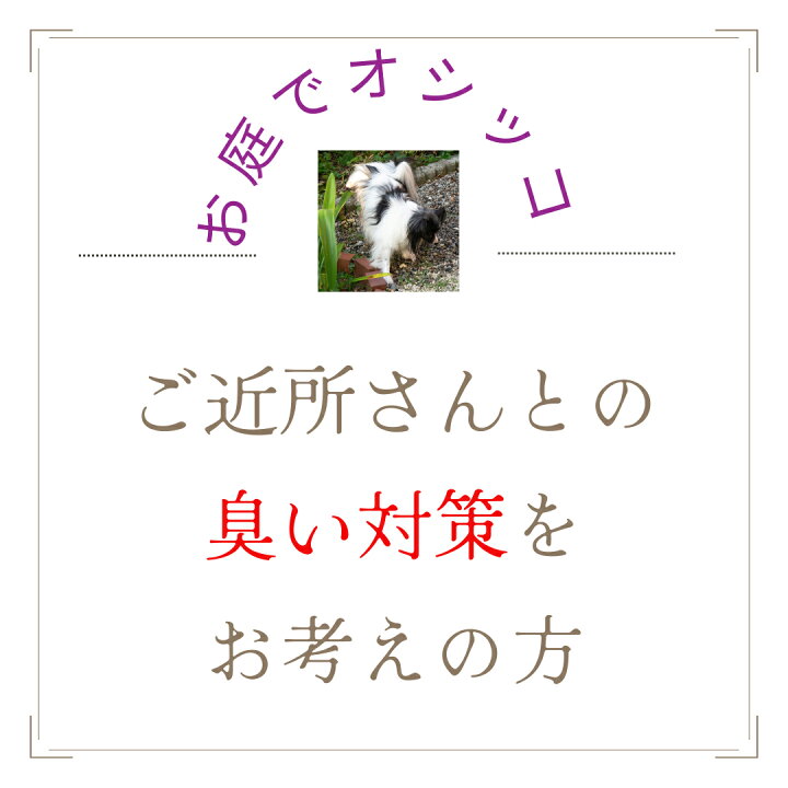 楽天市場 ペット用品 ゼオライトアルファmp 気になるおしっこ臭が消えお隣さんとのトラブル回避 庭にまくだけ 犬猫庭消臭 糞尿消臭 雑貨犬尿 臭い 内容量1kg 犬用品abcdog マジックゼオ販売店