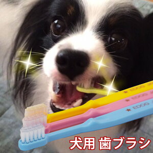 ybgpi  EDOGJAPAN uV3{ f^PApi L \h  pi Lpi ybgObY ₷wbh 9×18mm
