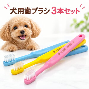 �_�|�C���g4�{�^ �� �L ���u���V 3�{ EDOGJAPAN 9×18mm�����߃w�b�h ���݂��� ���L�P�A �f���^���P�A�p�i