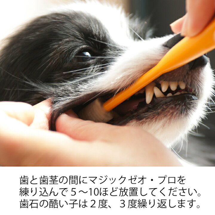 楽天市場 犬 歯石取り 犬歯石除去 歯磨き粉 マジックゼオ プロ 2箱 歯ブラシ2本 おやつプレゼント 犬歯磨き ペット用歯石除去 犬歯周病薬 犬ゼオライト歯磨き 送料無料 Magiczeo 小型犬で1ケ月分 犬用品abcdog マジックゼオ販売店 楽天市場 犬 歯石取り 犬歯石除去 歯磨き粉 マジックゼオ プロ 2箱 歯ブラシ2本 おやつプレゼント 犬歯磨き ペット用歯石除去 犬歯周病薬 犬ゼオライト歯磨き 送料無料 Magiczeo 小型犬で1ケ月分 犬用品abcdog マジックゼオ販売店