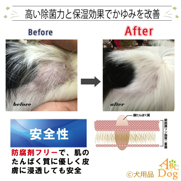 楽天市場 犬 歯石取り 歯磨き粉 マジックゼオ プロ デイリー マジックミスト 360度歯ブラシ 最強3点セット 送料無料 歯科医師推奨 獣医師会推奨 のとっても信頼性の高いワンちゃんの歯磨き粉です 犬用品abcdog マジックゼオ販売店