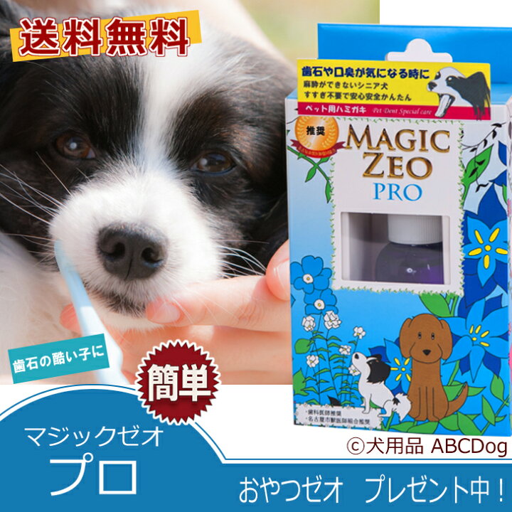 楽天市場 犬 歯石取り 歯磨き粉 マジックゼオ プロ 2箱 犬歯磨き ペット用歯石除去 犬歯周病薬 犬ゼオライト歯磨き 送料無料 歯ブラシ2本プレゼント Magiczeo 犬用品abcdog マジックゼオ販売店