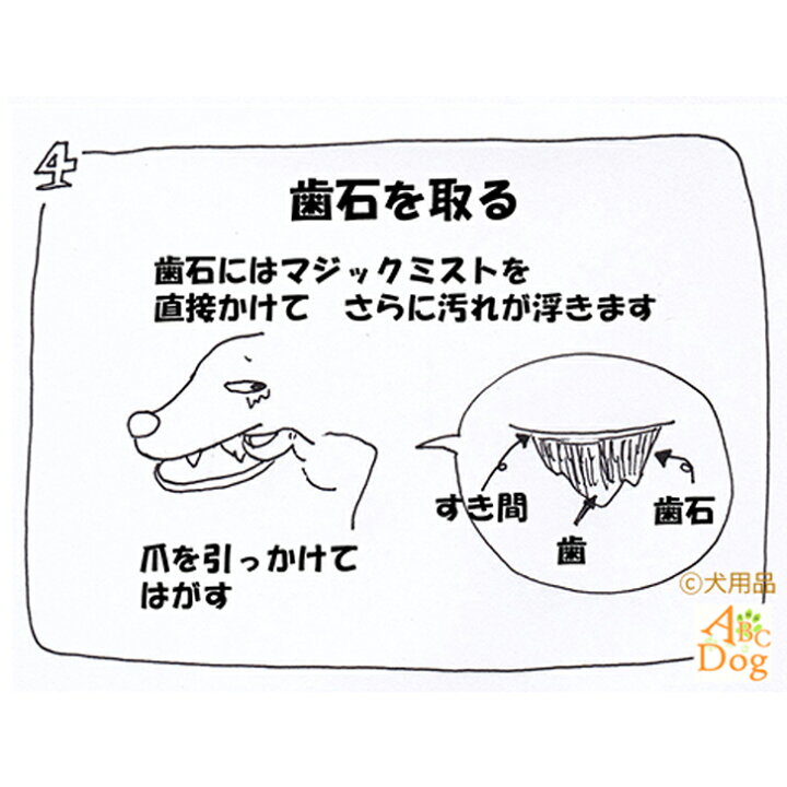 楽天市場 ペット用品 犬 マジックゼオ プロ 歯石取り 歯磨き粉 Edogjapan 歯ブラシ1本セット 歯石 歯垢除去 歯周病薬 犬 ゼオライト 猫 歯みがき はみがき マジックミスト ハミガキ おすすめ Magiczeo歯ブラシケア 犬用品abcdog マジックゼオ販売店
