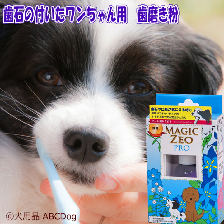 楽天市場 犬 歯石取り マジックゼオプロ 歯磨き 歯石 歯垢除去 歯周病薬 犬 ゼオライト Magiczeo ペット用品 犬用品abcdog マジックゼオ販売店