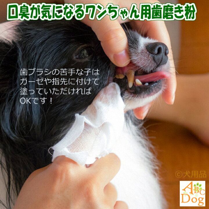 楽天市場 犬 歯石取り 歯磨き粉 マジックゼオ デイリー2箱 犬 歯磨き粉 歯肉炎 歯科医師推奨獣医師会推奨 送料無料 歯ブラシ2本プレゼント ジェル状 デンタルケア 歯石 黄ばみ 歯周病 口臭予防 犬用品abcdog マジックゼオ販売店 楽天市場 犬 歯石取り 歯磨き粉 マジックゼオ デイリー2箱 犬 歯磨き粉 歯肉炎 歯科医師推奨獣医師会推奨 送料無料 歯ブラシ2本プレゼント ジェル状 デンタルケア 歯石 黄ばみ 歯周病 口臭予防 犬用品abcdog マジックゼオ販売店