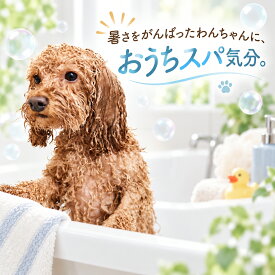 【お買い物マラソン】 犬用 入浴剤 天然ゼオライト温泉パウダー 70g 皮膚ケア 消臭 無添加 国産 イオンケア浴