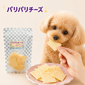 犬 おやつ 国産 パリパリチーズ 60g 減塩 ご褒美 トッピングにも