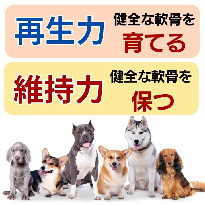 楽天市場】＼お買い物マラソン／ 犬用品 コラーゲン パワーバランス 