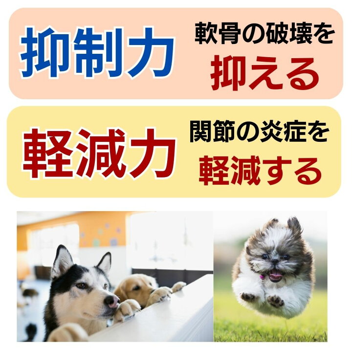 楽天市場】＼お買い物マラソン／ 犬用品 コラーゲン パワーバランス 