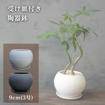 楽天市場】3号鉢セットの通販